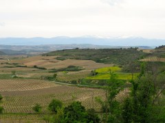 Rioja