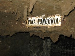 Moldy aging cellar at vina Tondonia