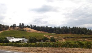 SE-Fall2010vineyards