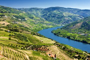 Portugal's Douro Valley