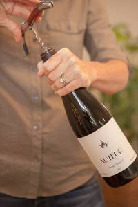 1613859_697451380316478_6471096889845669972_n