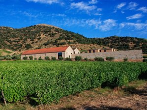 Gloria Ferrer Winery