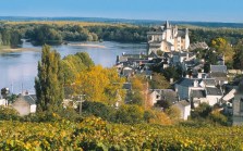 Loire Valley vineyards 