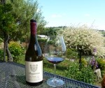Bergstrom Pinot Noir