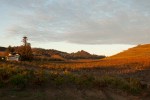 image-vineyards-and-winery-Seghesio