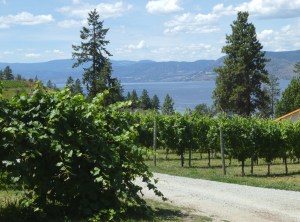 The view from St. Hubertus 