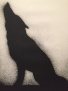 Ed Ruscha's Coyote #2