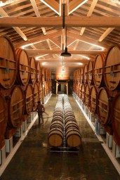 barrel room at Chateau de Beaucastel