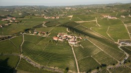 vineyard_4047544_1600