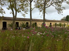 stone building at Chateau Margaux