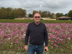 In a field of cosmos