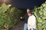 Michael-Gustavo-Night-Harvest