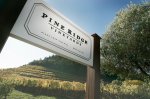 pine-ridge-vineyards
